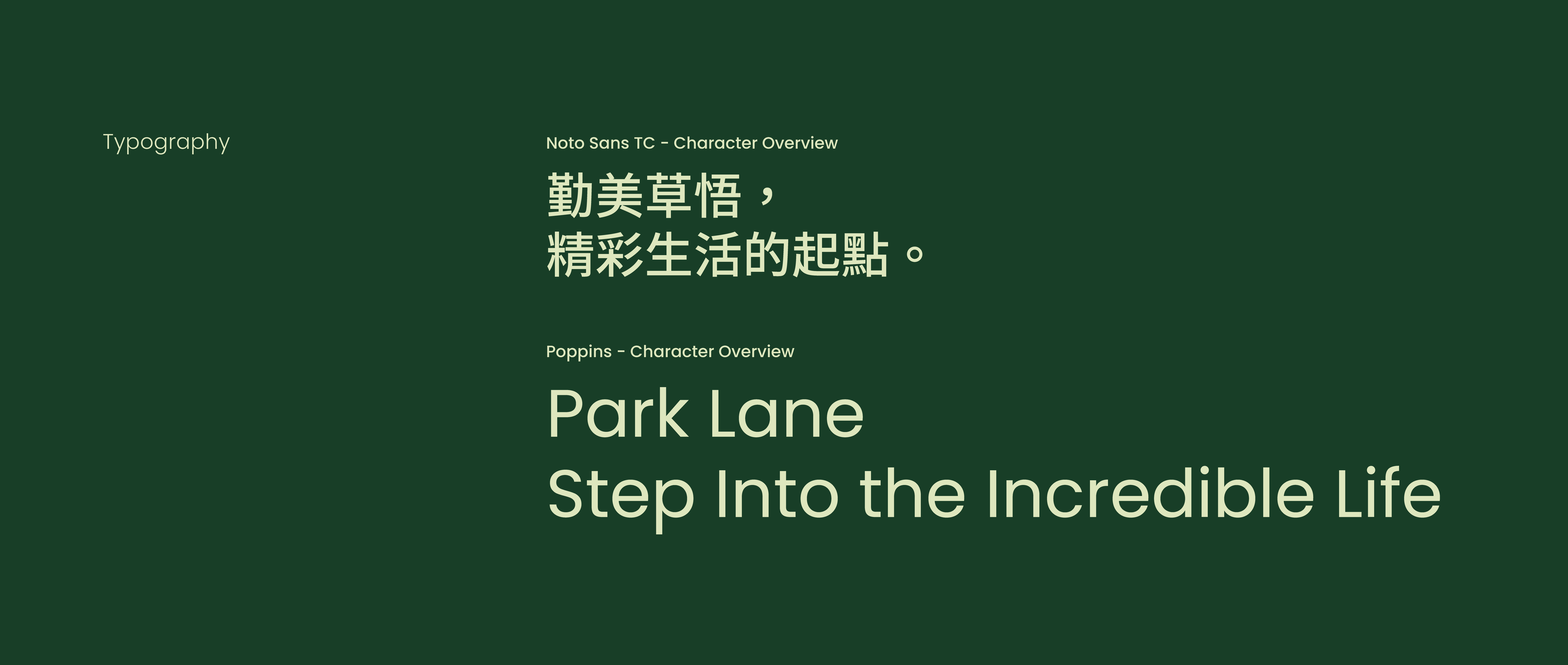 Park Lane Branding