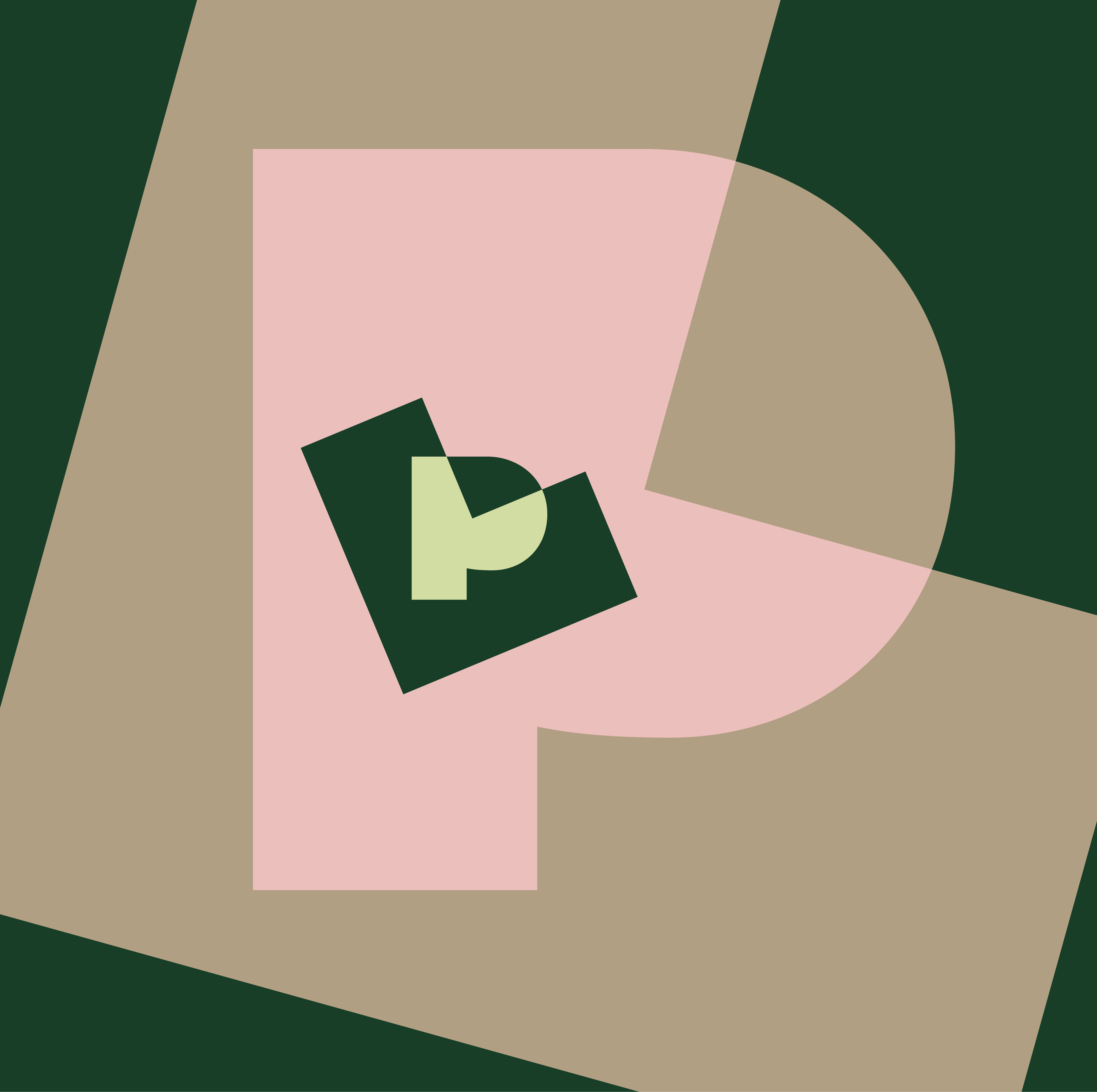 Park Lane Branding